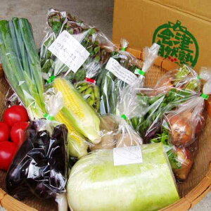 【ふるさと納税】有機野菜セット季節の採れたて有機野菜(7〜8点)を農家から直送