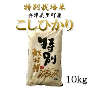 yӂ邳Ɣ[Łzʍ͔|ā@ÔYRVqJ@10kg@2025N12菇\