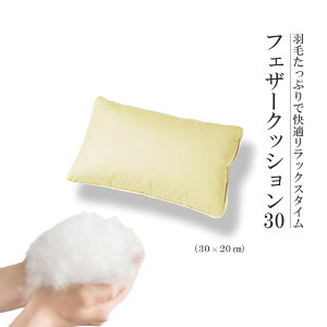 yӂ邳Ɣ[ŁzHтՂŉKbNX^C!tFU[NbV30(30×20cm)y07461-0084zH ~j NbV RۖhLEh_jH  V ӂƂ  