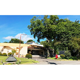 【ふるさと納税】い～お湯です！平日限定ペア素泊宿泊券 旅行 温泉 源泉かけ流し