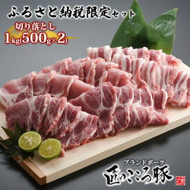 【ふるさと納税】ブランドポーク「匠のこころ豚」切り落とし1kg（500g×2）ふるさと納税限定セット【◎安全・安心　JGAP・農場HACCP認証取得】 お肉 豚肉 バラ 炒め物