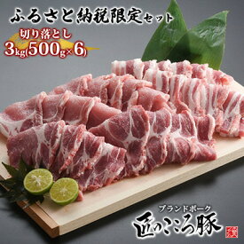 【ふるさと納税】ブランドポーク「匠のこころ豚」切り落とし3kg（500g×6）ふるさと納税限定セット【◎安全・安心　JGAP・農場HACCP認証取得】 お肉 豚肉 バラ 小間切れ 炒め物