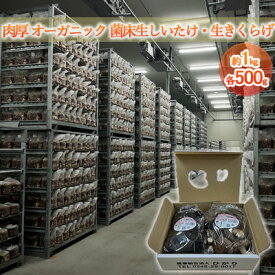 【ふるさと納税】オーガニック 菌床生しいたけ・生きくらげ 約1kg（各500g） きのこ 野菜 国産 GAP認証 有機JAS認定 食物繊維 ビタミン ミネラル