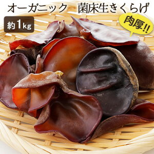 yӂ邳Ɣ[ŁzI[KjbN ۏ炰 1kg  ̂  Y GAPF L@JASF H@ r^~ ~l