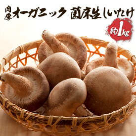 【ふるさと納税】オーガニック 菌床生しいたけ 約1kg きのこ 野菜 国産 GAP認証 有機JAS認定 食物繊維 ビタミン ミネラル