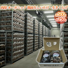 【ふるさと納税】オーガニック 菌床生しいたけ・生きくらげ 約500g（各250g） きのこ 野菜 国産 GAP認証 有機JAS認定 食物繊維 ビタミン ミネラル