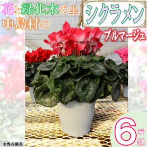yӂ邳Ɣ[Łzys\zVN6(v}[W)@J|yzsnFEꌧzy1494358z