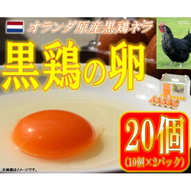 【ふるさと納税】水野谷鶏卵店　黒鶏の卵　20個入り(Mサイズ)【配送不可地域：離島・沖縄県】【1503066】