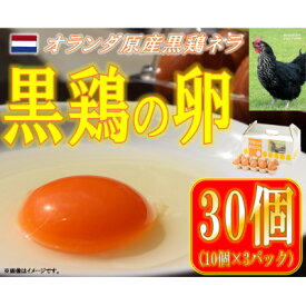 【ふるさと納税】水野谷鶏卵店　黒鶏の卵　30個入り(Mサイズ)【配送不可地域：離島・沖縄県】【1503067】
