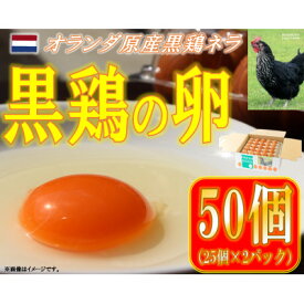 【ふるさと納税】水野谷鶏卵店　黒鶏の卵　50個入り(Mサイズ)【配送不可地域：離島・沖縄県】【1503069】