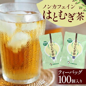 【ふるさと納税】 ノンカフェインはとむぎ茶 ティーバッグ100個入り お茶 飲料 F6U-003