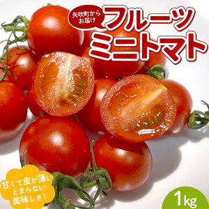 �y�ӂ邳�Ɣ[�Łz �v�`���ƊÂ݂��͂�����I�Ƃɂ����������� �t���[�c�~�j�g�}�g 1kg �����r�[���̂��܂݂ɂ��I F6U-168