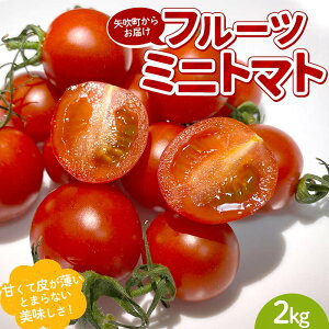 �y�ӂ邳�Ɣ[�Łz �v�`���ƊÂ݂��͂�����I�Ƃɂ����������� �t���[�c�~�j�g�}�g 2kg�i1kg×2�j �����r�[���̂��܂݂ɂ��I F6U-169