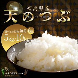 yӂ邳Ɣ[Łz sIׂeʁt yĂ̒ 2025N11薈6zz_ƒ V̂  5kg/10kg S6 F6U-184var
