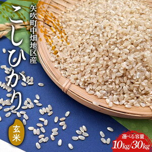 yӂ邳Ɣ[ŁzsIׂeʁtyߘa7NYznYЂ  10kg(5kg×2) / 30kg(30kg×1) F6U-264var