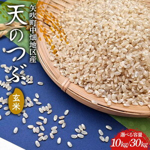 yӂ邳Ɣ[ŁzsIׂeʁtyߘa7NYznYV̂  10kg(5kg×2) / 30kg(30kg×1) F6U-266var