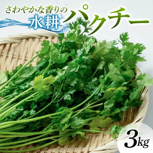 yӂ邳Ɣ[Łz Iׂeʁ₩ȍ̐kpN`[ 1kg`3kg F6U-276