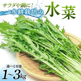 【ふるさと納税】 ＜選べる容量＞サラダや鍋に！水耕栽培の水菜 1kg～3kg F6U-280