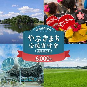 【ふるさと納税】 矢吹町 やぶきまち応援寄附金 6,000円 【返礼品なし】 F6U-315