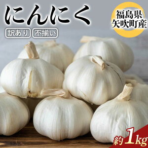 yӂ邳Ɣ[Łz 󂠂 sɂɂ1kgi6ЃzCgjjjN KiO  Y F6U-340