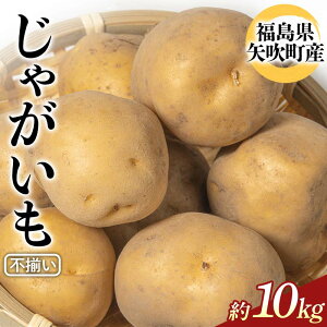 yӂ邳Ɣ[Łz sႪiigEj10kg WKC 󂠂 KiO  Y F6U-342