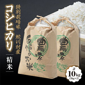 yӂ邳Ɣ[ŁzL쑺YRVqJ() (5kg/10kg)yG1210534z