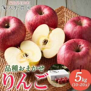 yӂ邳Ɣ[Łz5kg i킨C 10`20 b S { _ ь ʕ t[c Â Abv Y _  ΐ쒬y19011z