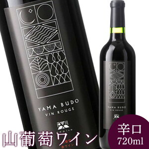 yӂ邳Ɣ[Łz2024NY RC 720ml h R RԂǂ RuhE Ԃǂ uhE C   AR[ 킢 ԃC  |tFm[ {g j  NX