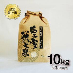 yӂ邳Ɣ[Łz FT18-272 y3Azʐ쑺YRVqJ 10kg RVqJ   uh  ~ { Ђ R ͂  Hi