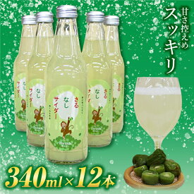 【ふるさと納税】玉川村特産 さるなしサイダー 12本 FT18-213