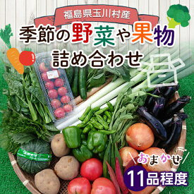 【ふるさと納税】FT18-257 季節の産直売場の野菜と果物詰め合わせ（大）