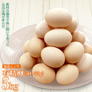 yӂ邳Ɣ[ŁzFT18-221 ʐ쑺Y L50`55g 90ʁiۏ10ʊ܂ށjh{_ ^}S ʎq GbO Y Ic TKG  ł܂