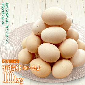 【ふるさと納税】FT18-222 玉川村産 有精卵50〜55g 180玉（割れ保証20玉含む）栄養満点 タマゴ 玉子 エッグ 国産 オムレツ TKG 温泉卵 ゆでたまご