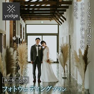 yӂ邳Ɣ[Łz FT18-246 X̉w yodge tHgEFfBOv