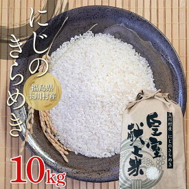 【ふるさと納税】令和7年度産 新米 玉川にじのきらめき 10kg 福島県玉川村産 こめ コメ オリジナルブランド米 FT18-277