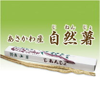 楽天市場】自然薯 1kgの通販