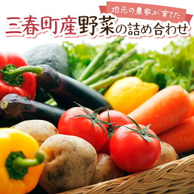 【ふるさと納税】【旬の野菜】三春町産野菜の詰合せ　【07521-0007】