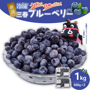 yӂ邳Ɣ[ŁzOtⓀu[x[ 500g×2pbN^v1kg yOtY Ⓚu[x[ 嗱  Ot Otu[x[y L@엿 ʕ Y t[c ʎ {   M