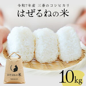 yӂ邳Ɣ[Łzys\zߘa7NxY@OtYRVqJ͂˂̕ā 10kg  ͂    ٓ  Y  uh ɂ Y@y07521-0135z