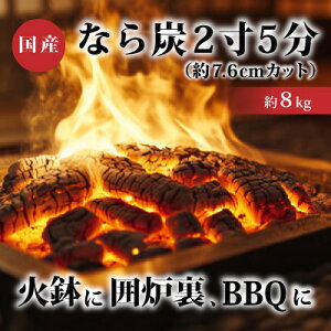 yӂ邳Ɣ[ŁzȂY25(7.6cmJbg)8kgyzsnFꌧzy1035530z