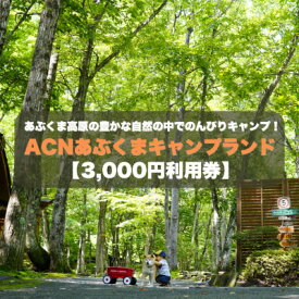 【ふるさと納税】【応援キャンプ!】福島県オートキャンプ場　あぶくまキャンプランド　宿泊利用券(3,000円分)【1627515】
