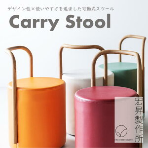 yӂ邳Ɣ[ŁzCarry Stooly֎q Xc[ CeA Ƌ LX^[t  {   `FA _ fUC  ItBX rO _CjO ؐ RpNg TCh