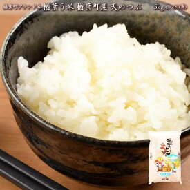 【ふるさと納税】 2025年産 楢葉町ブランド米　楢葉う米 楢葉町産 天のつぶ 5kg(5kg×1袋)