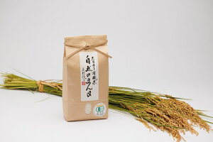 yӂ邳Ɣ[Łzy2025NYāzyʌz䂸Y̋ {̓V RVqJ 4kg (2kg×2) L@ i JAS F j tYy   L@ V RVqJ 4kg  