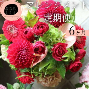 yӂ邳Ɣ[Łzt[AWg  6 MTCYbG߂̉ ͂  Mtg  CeAp  yfuku farming flowersz