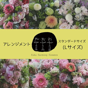 yӂ邳Ɣ[Łzt[AWg LTCYbX^_[hTCY G߂̉   MtgΉ ԃAW  yfuku farming flowersz