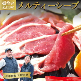 【ふるさと納税】［2026年9月下旬～10月下旬発送分］国産ジンギスカン肉250g（250g×1パック）　国産羊肉　液体急速冷凍