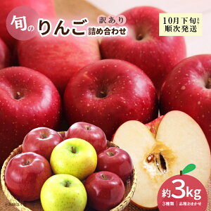 yӂ邳Ɣ[ŁzVnY  lߍ킹 󂠂 3kg 1 | ʕ  S t[c { Yn _ƒ Hi lC     Vn A 킯