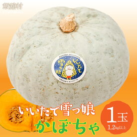 【ふるさと納税】【数量限定・11月頃お届け】飯舘村名物 「いいたて雪っ娘」かぼちゃ（1玉1.2kg以上） ふるさと納税 人気 おすすめ ランキング かぼちゃ 南瓜 カボチャ いいたて雪っ娘 名物 特産 希少 までい 復興 福島 飯舘村 ITTAB007