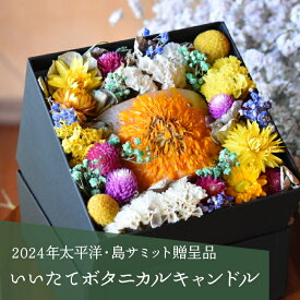 【ふるさと納税】【2024年太平洋・島サミット贈呈品】いいたてボタニカルキャンドル ITTAC001 | フラワーキャンドル かわいい おしゃれ プレゼント ギフト 贈答 記念日 誕生日 結婚祝い 母の日 バレンタイン ホワイトデー インテリア 映え 日用品 雑貨 復興 福島 飯舘村